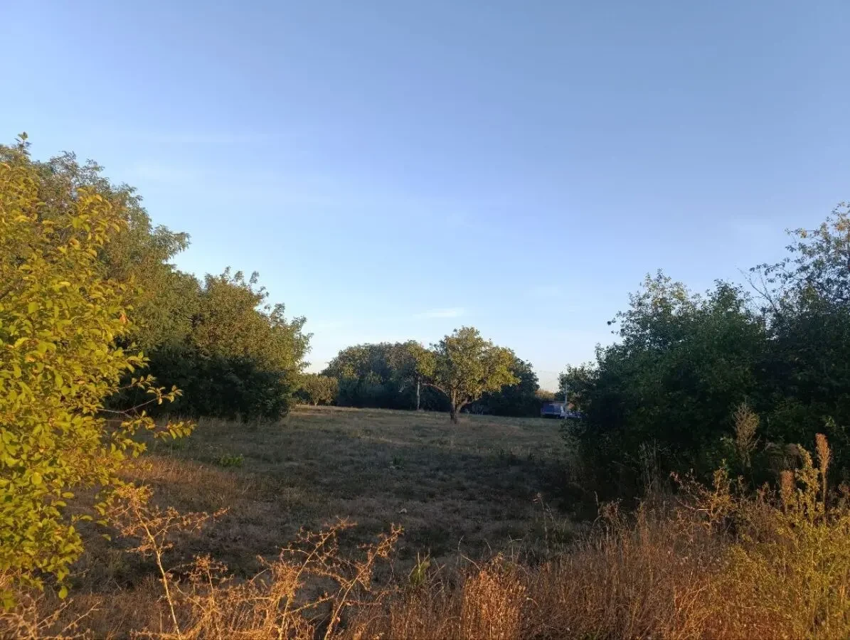 Земельна ділянка 60 соток, Мачухи - під забудову та ОСГ 7