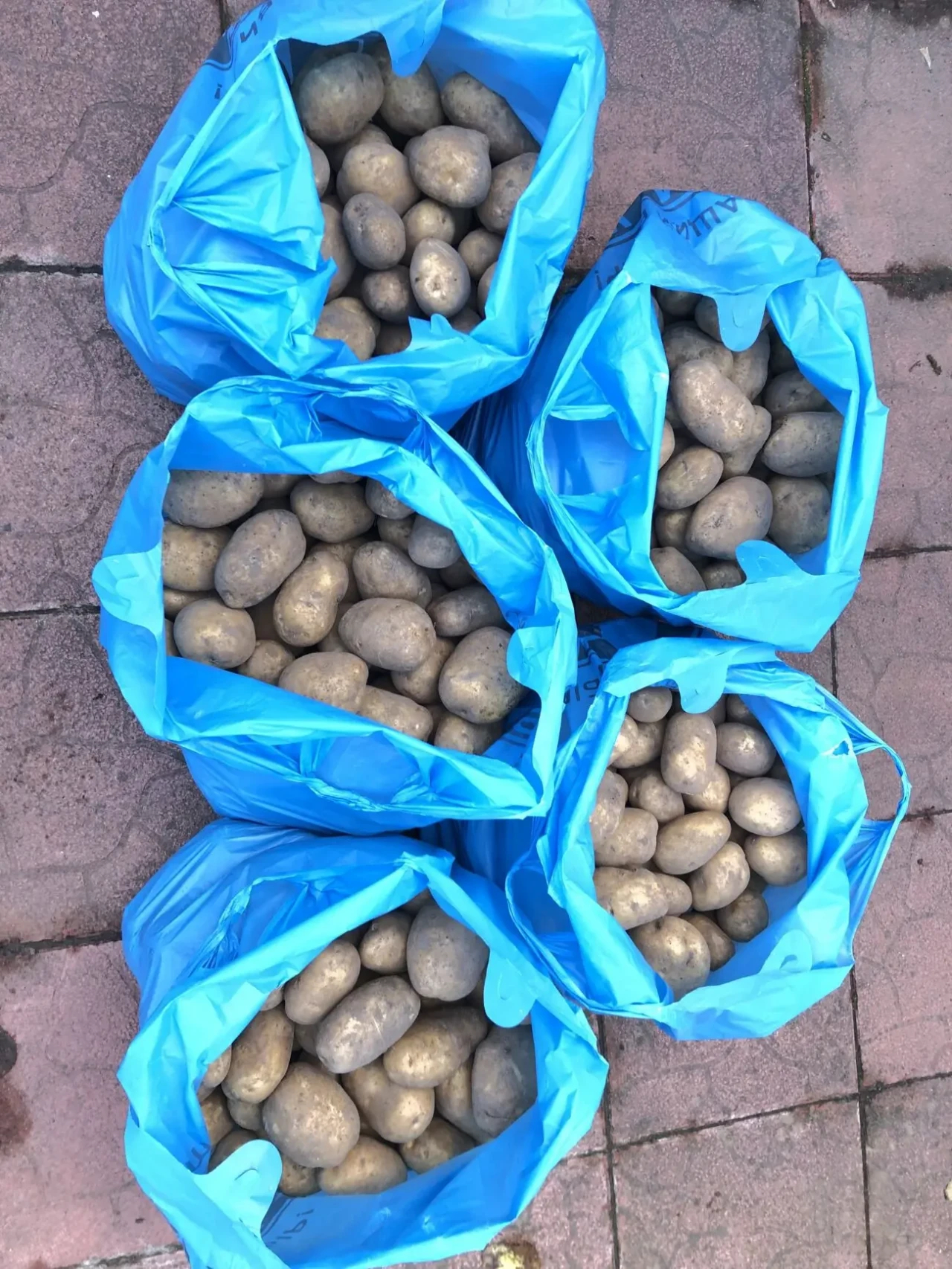 Картопля картошка картофель велика