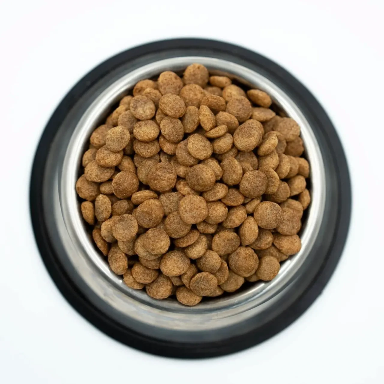 Сухий корм StarDeyl Kitten Chicken 5кг (курка) для кошенят 2