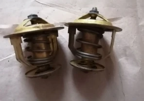 Термостат газ 24, новый ссср