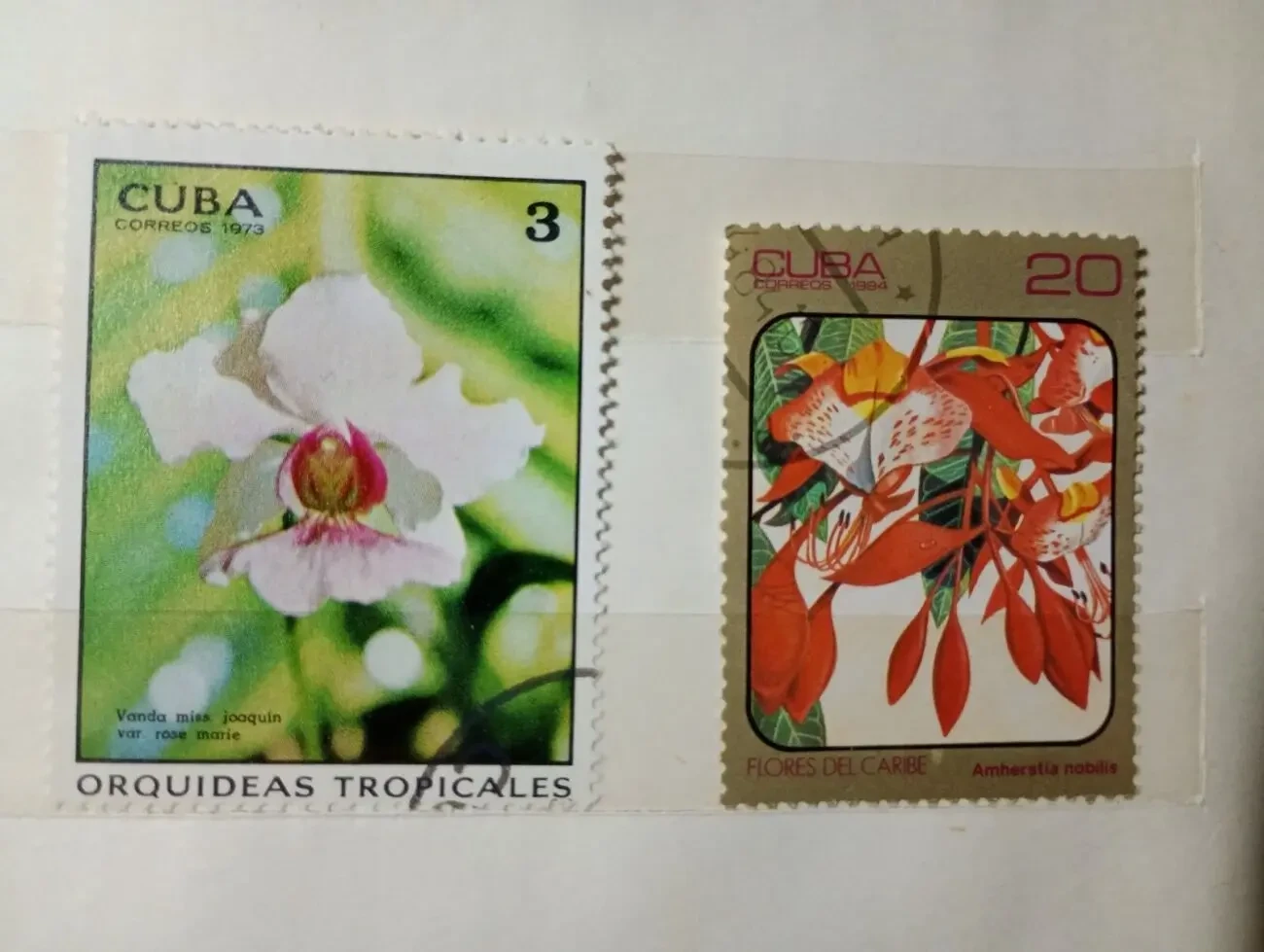 Марки - цветы. куба 1973 год. 4