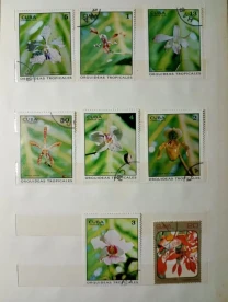 Марки - цветы. куба 1973 год.