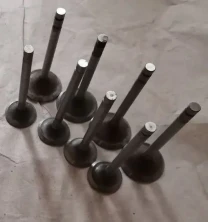 Клапана газ 24, уаз, 47/36, новые ссср