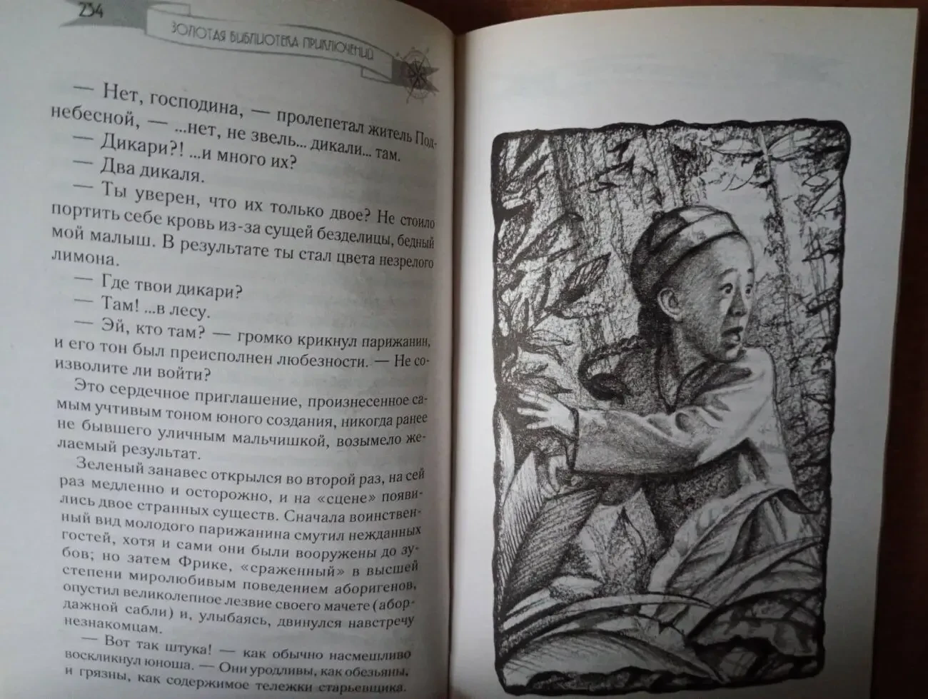 Луи Буссенар - Под Южным Крестом. 7