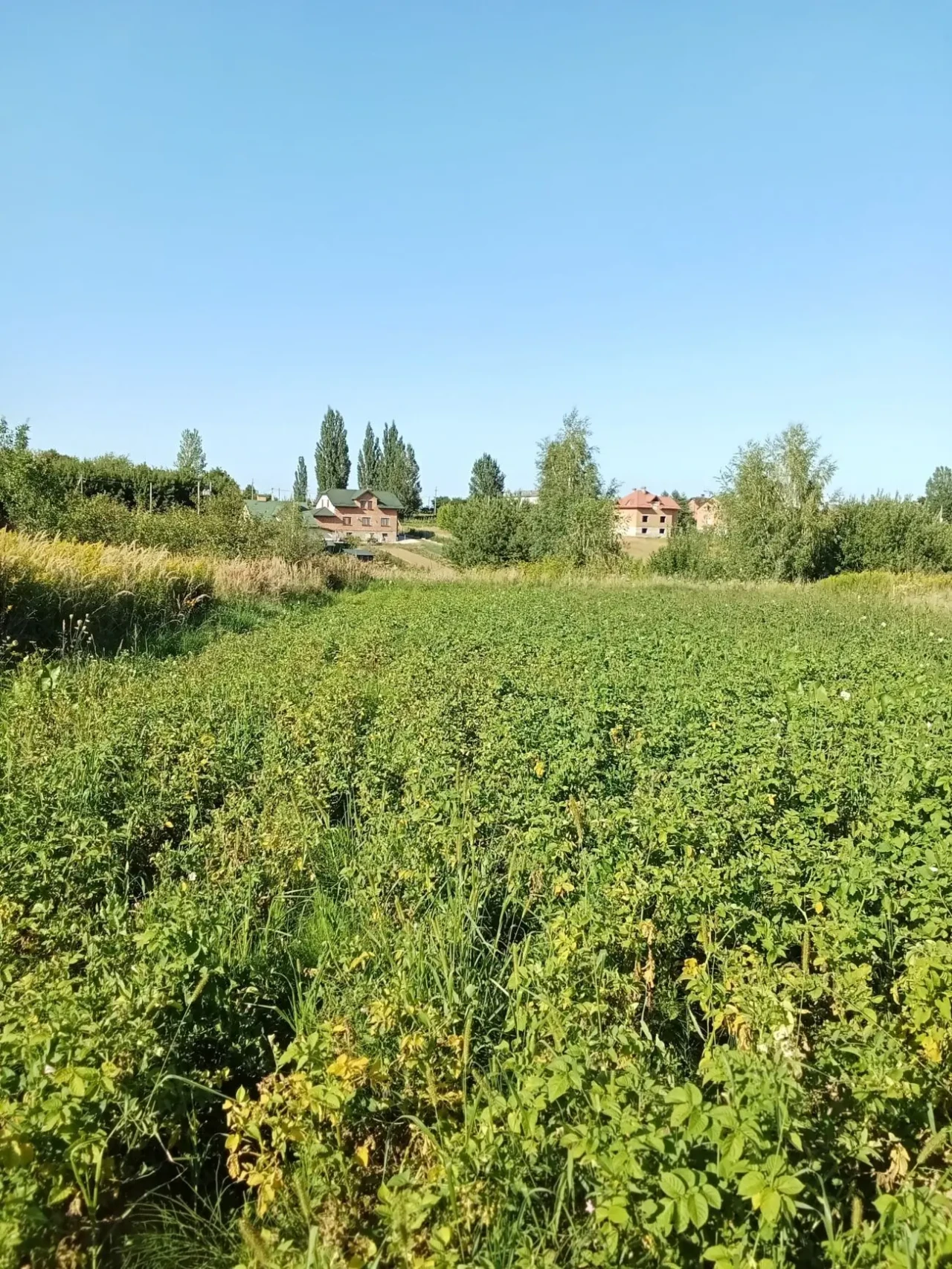 земельна ділянка