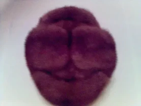 Шапка норковая мужская