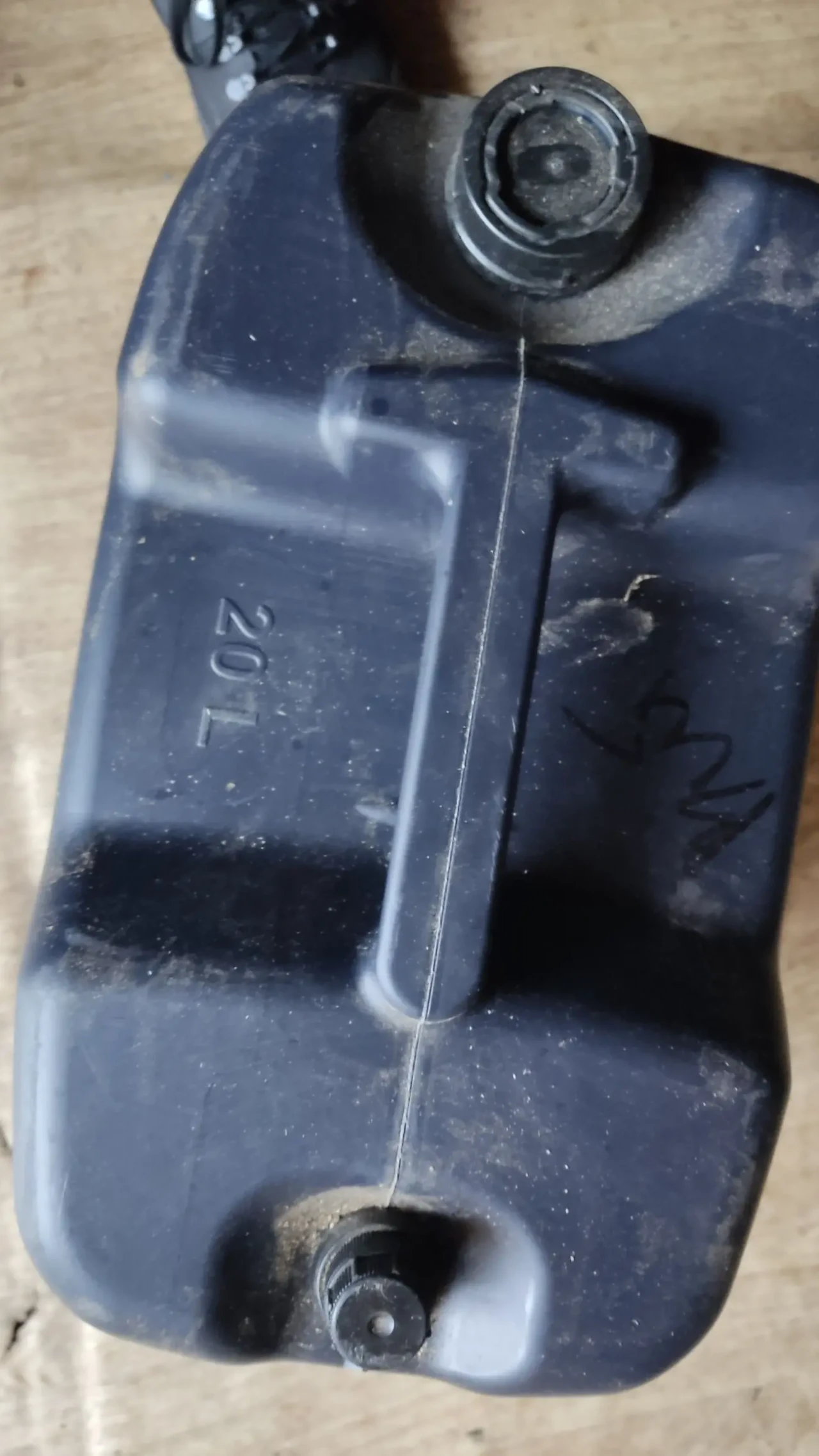 Олива моторна