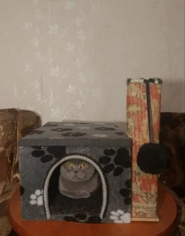 Новорічний розпродаж доміків з кігтеточкою для котів