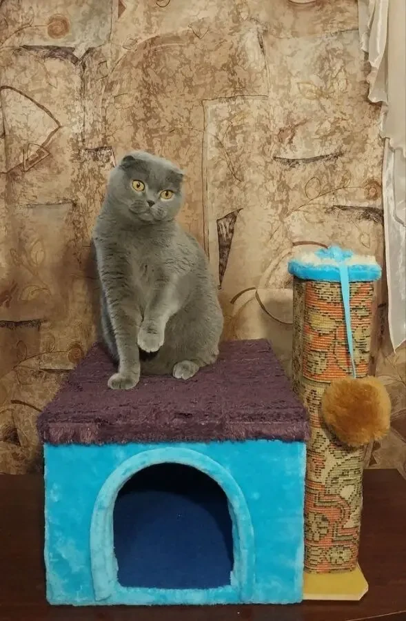 Будиночки від виробника для котів. Якість та затишок 8