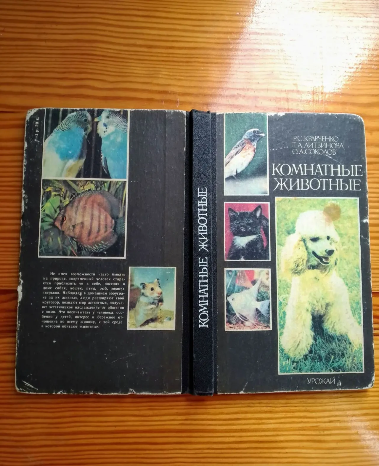 Книга домашние питомцы, грызуны, содержание, справочник детям 10