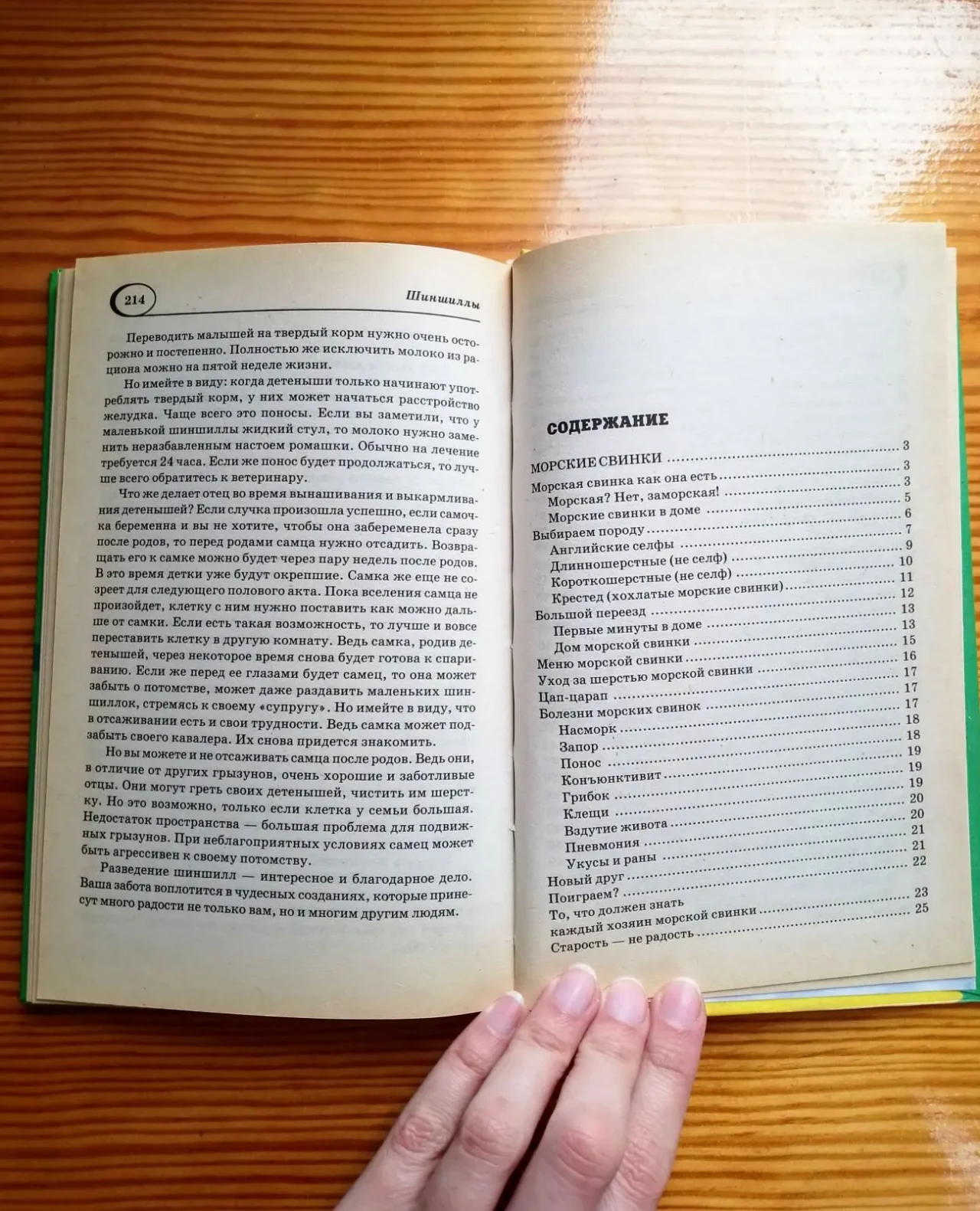 Книга домашние питомцы, грызуны, содержание, справочник детям 7