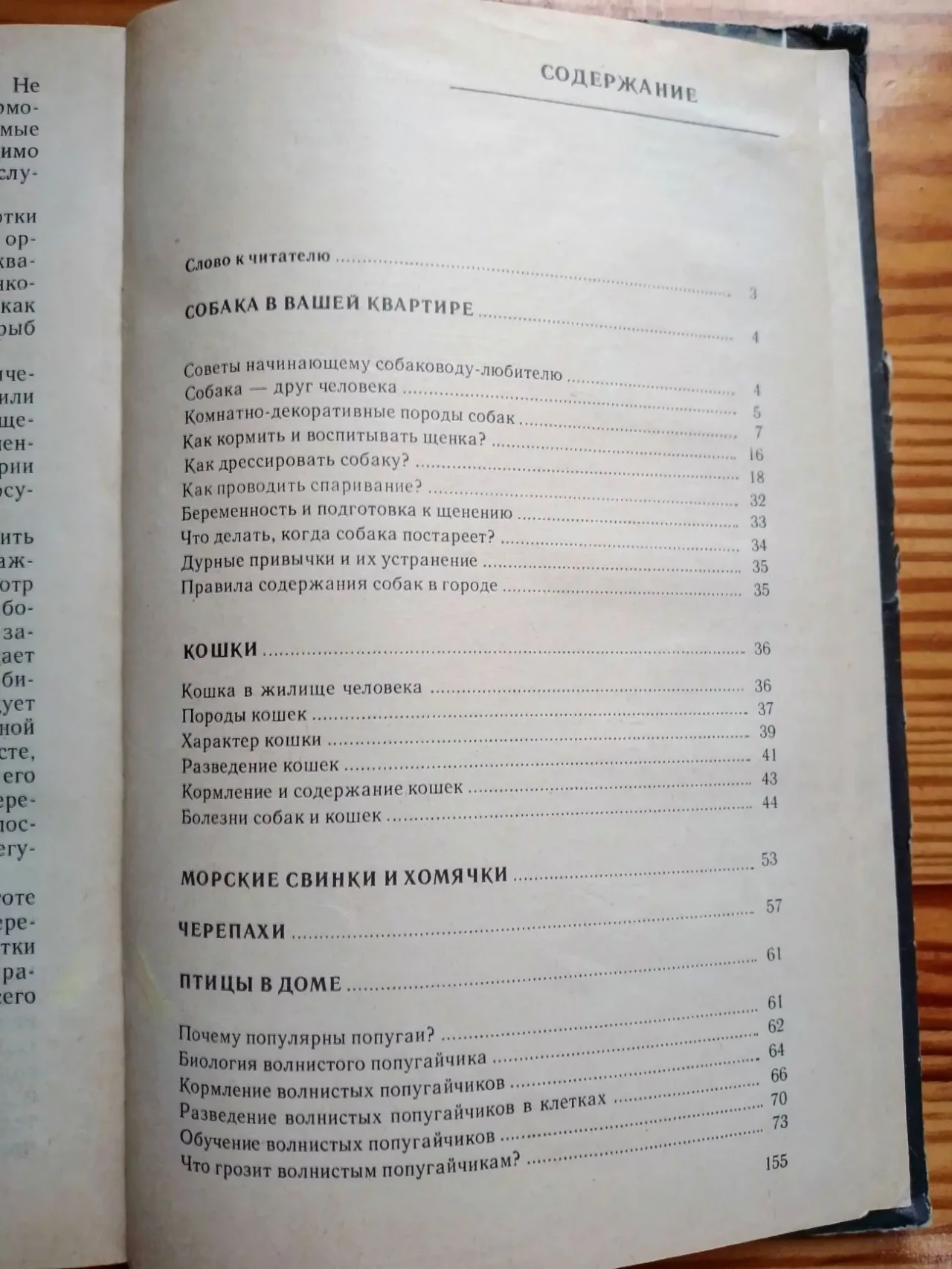 Книга домашние питомцы, грызуны, содержание, справочник детям 9