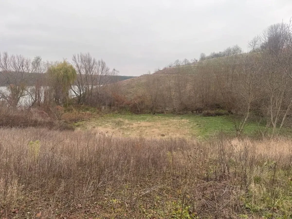 Земельний масив для туристичного бізнесу Ставок біля Південного Бугу 7