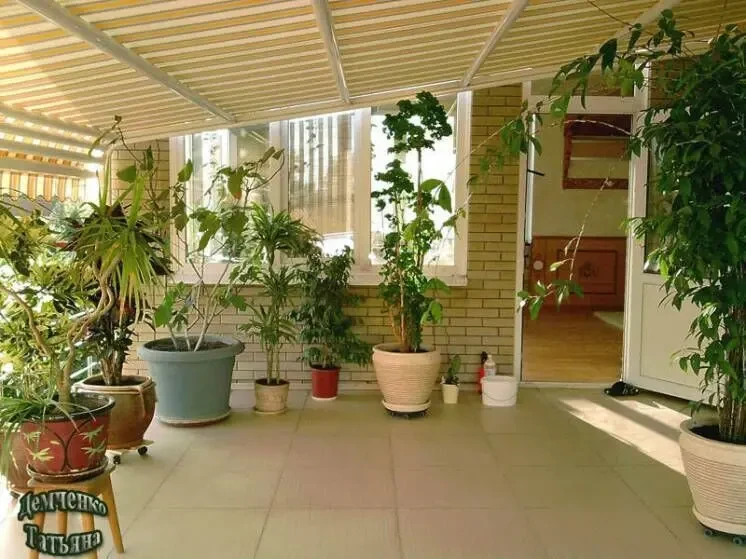 Догляд за кімнатними рослинами 4