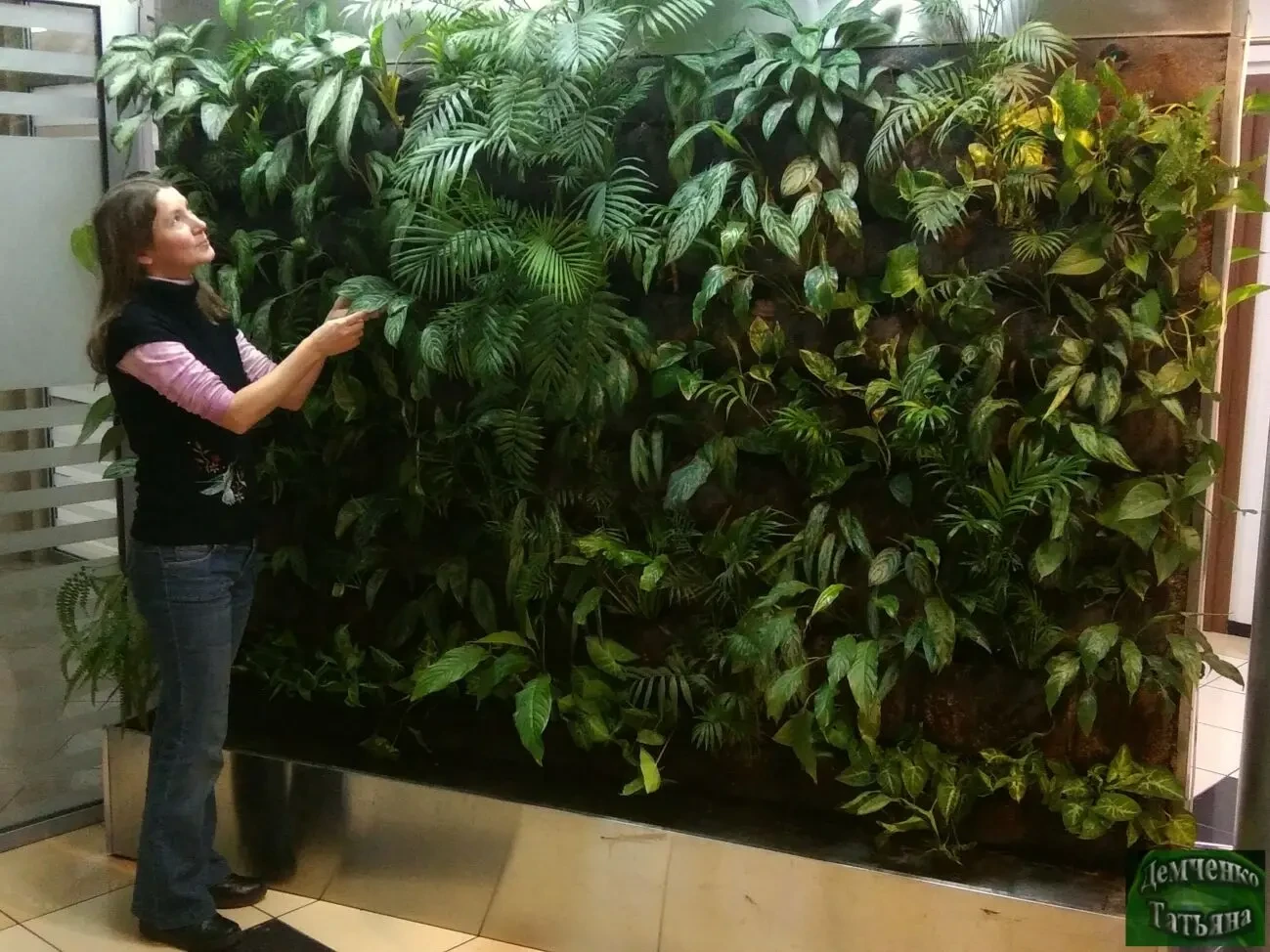 Догляд за кімнатними рослинами 5