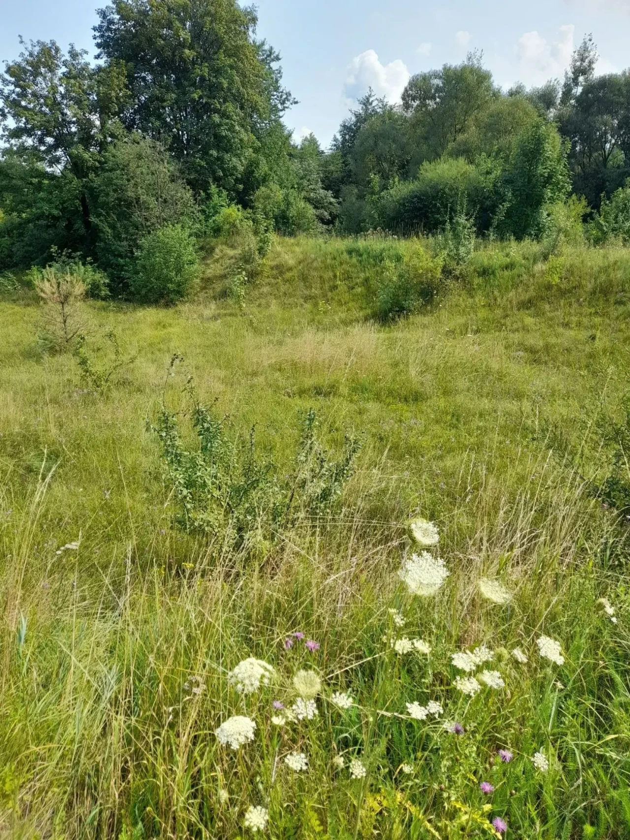 Продам землю в Івано-Франківській області 4