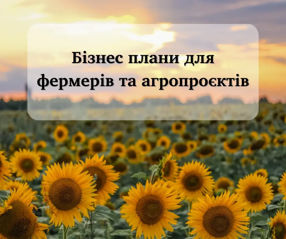 Написання бізнес-планів для грантів і не тільки 3