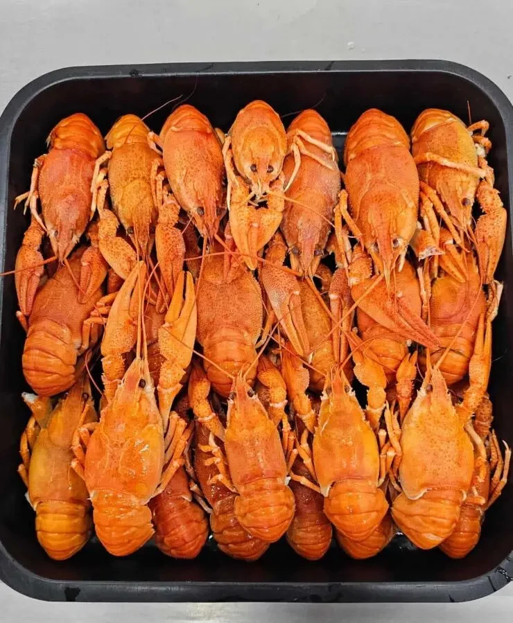 Раки варено морожені 3