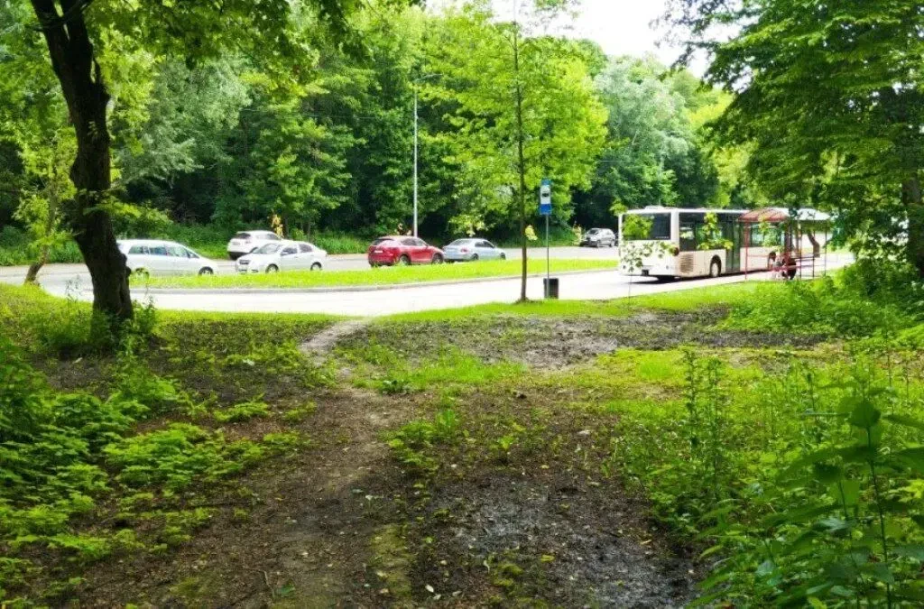 Земельна ділянка 10 соток, Голосіївський район Києва 2