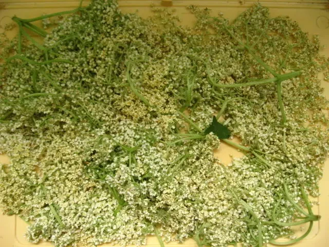 Цветки на чай зверобой, бузина, 0.5 л стакан, степные дикоросы 2