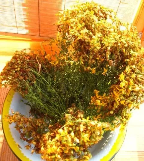 Цветки на чай зверобой, бузина, 0.5 л стакан, степные дикоросы 3