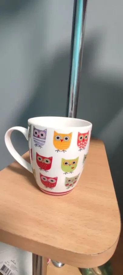 Чашка на подарок. Сова 3