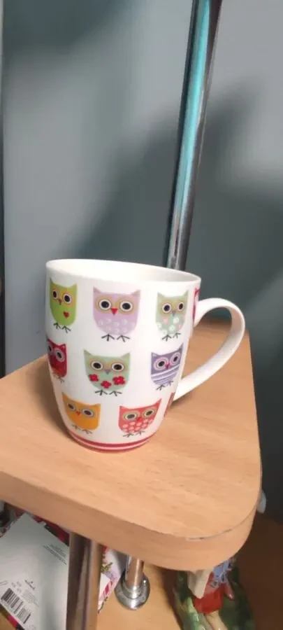 Чашка на подарок. Сова