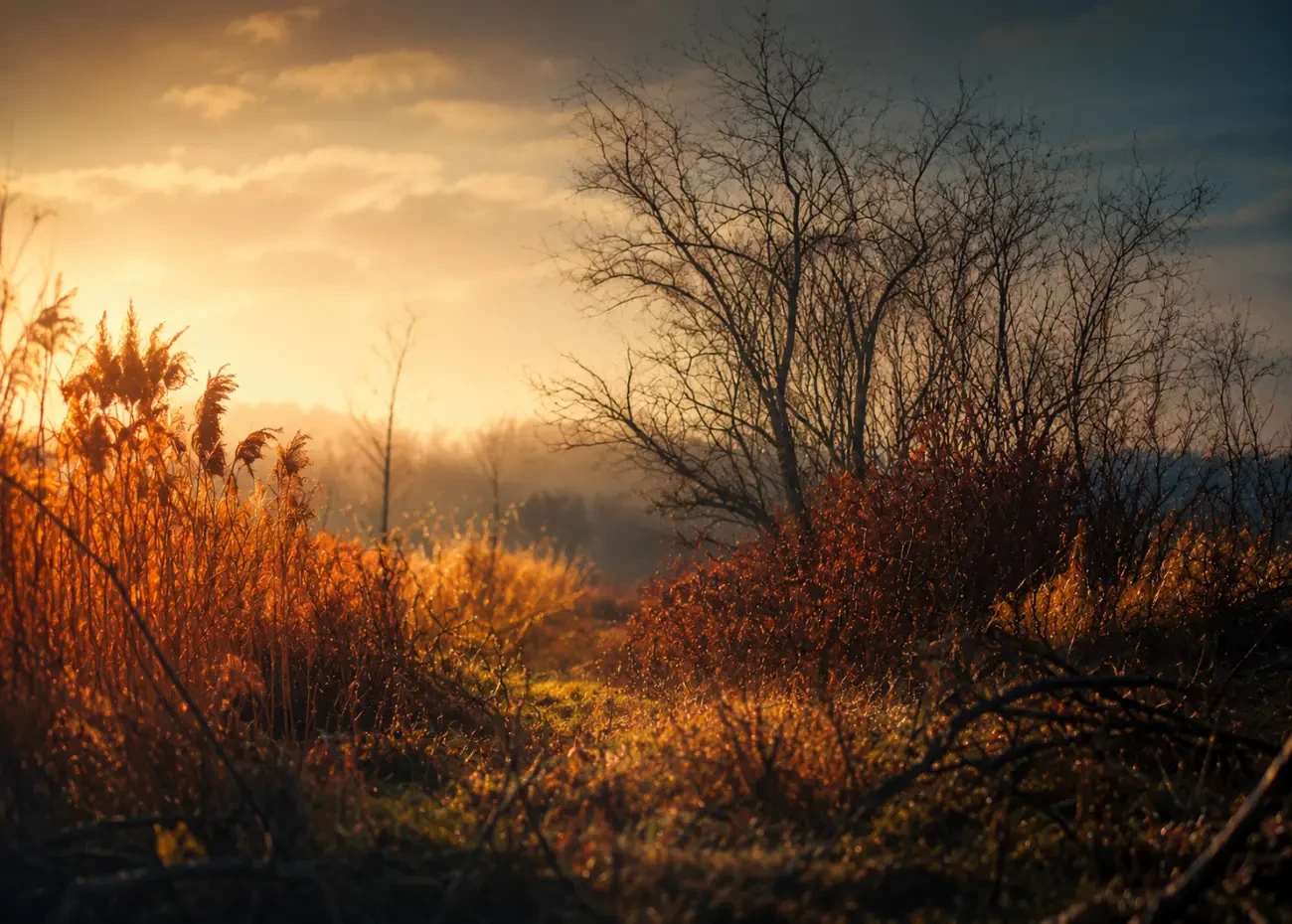 Фотоклуб для дітей 6