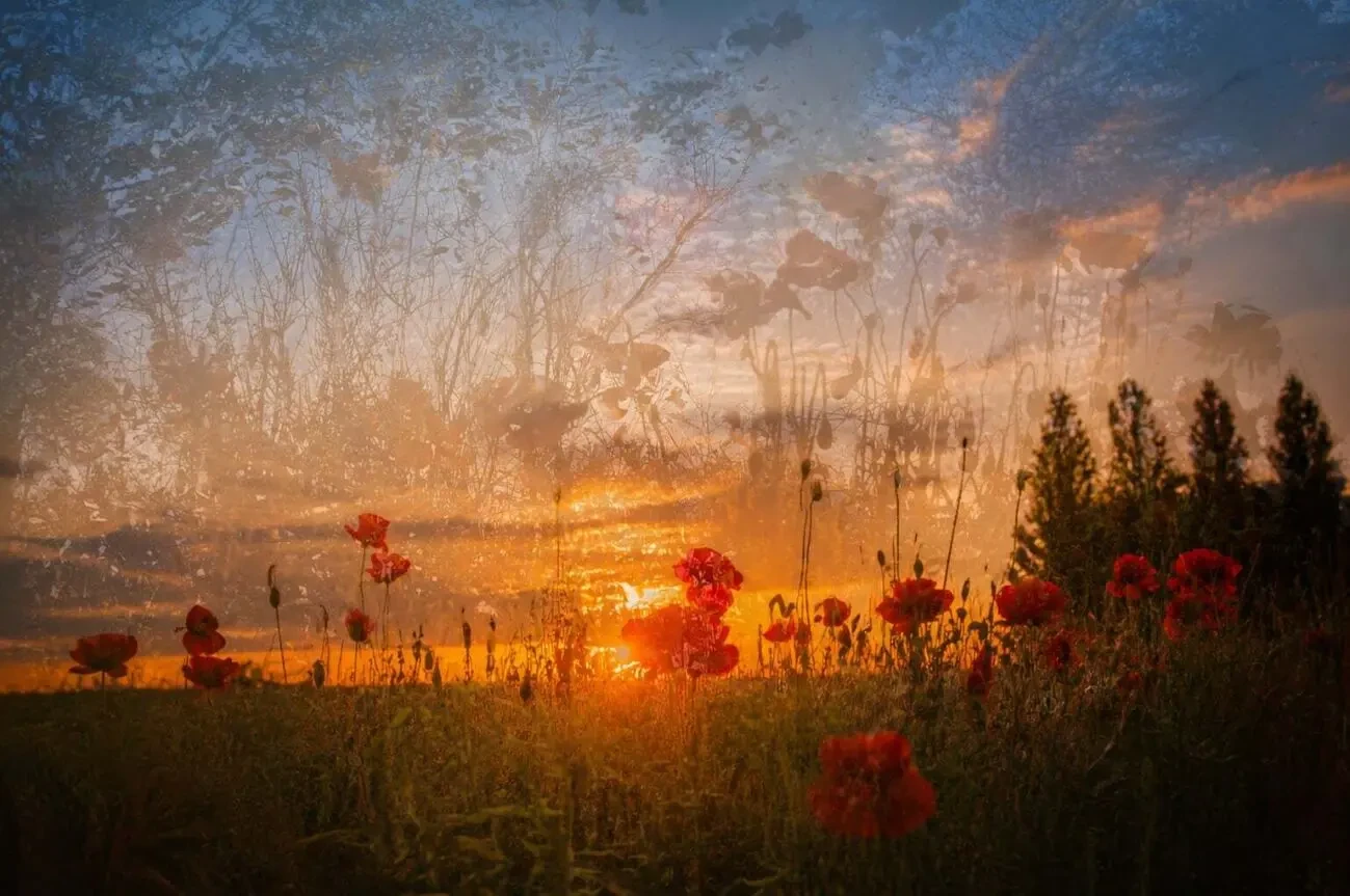 Фотоклуб для дітей 3