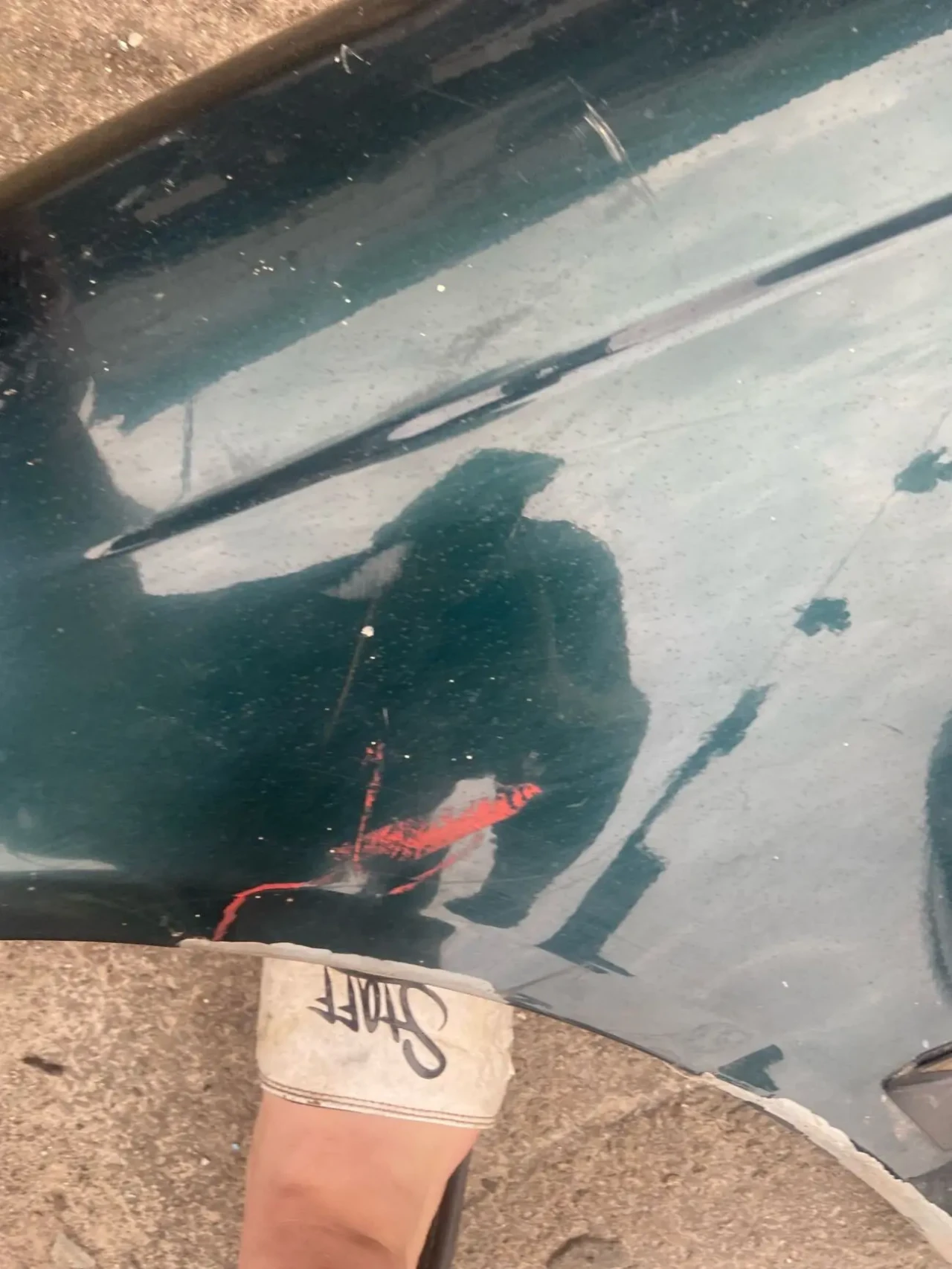 крило ліве бмв е 39 ( без предоплати) 7