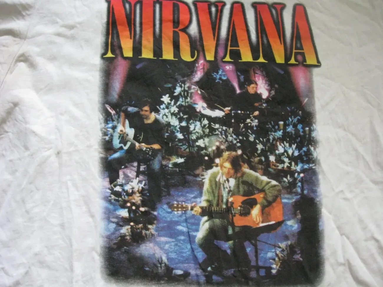 Футболки-мерч рок-гурту Нірвана і співака Френка Сінатри 3