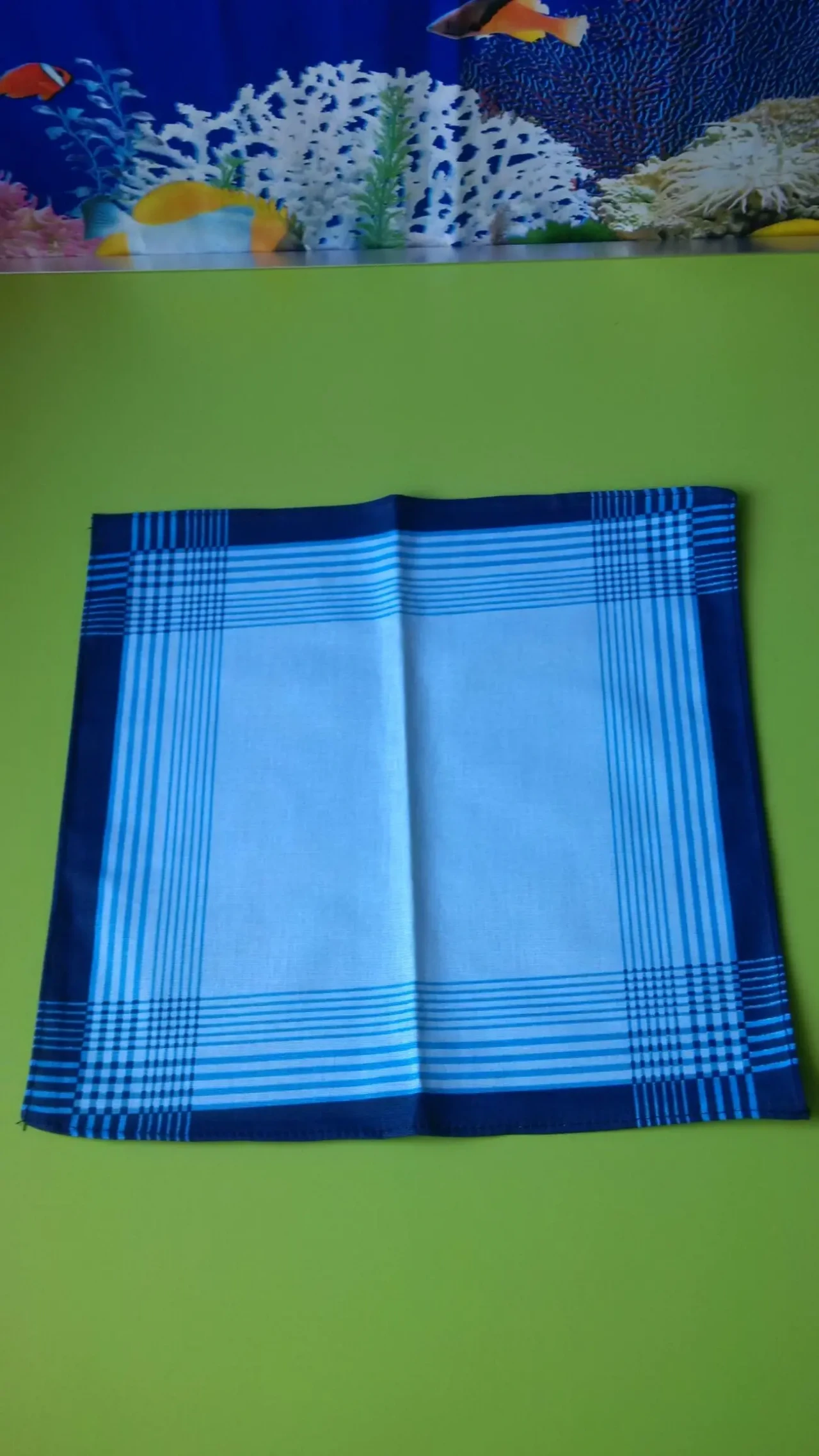 Чоловічі носові хустки 2/шт 2