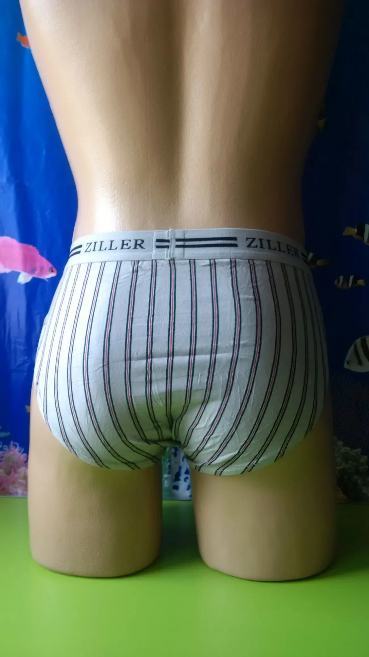 Труси плавки ziller набір 3/шт 3