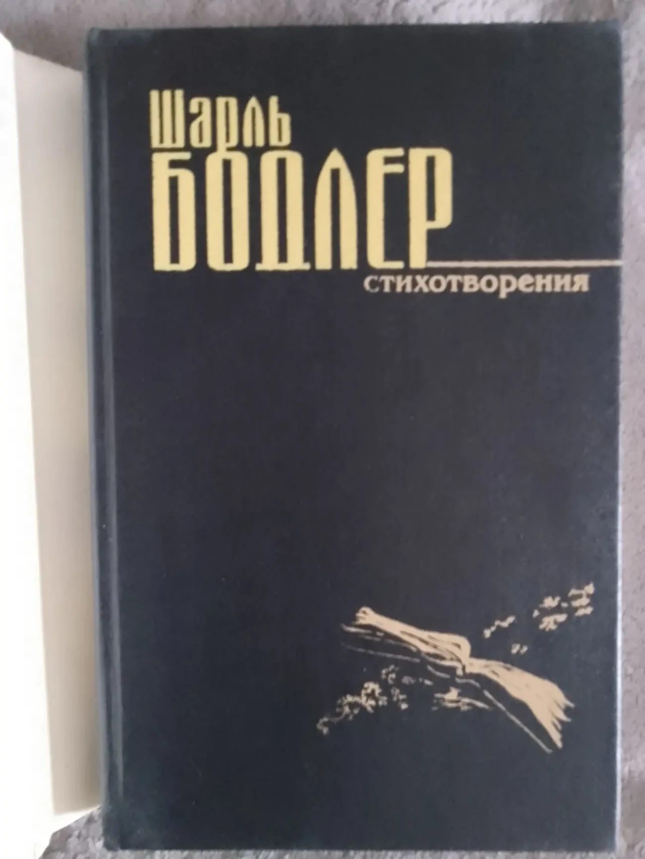 Шарль Бодлер.Стихотворения 3
