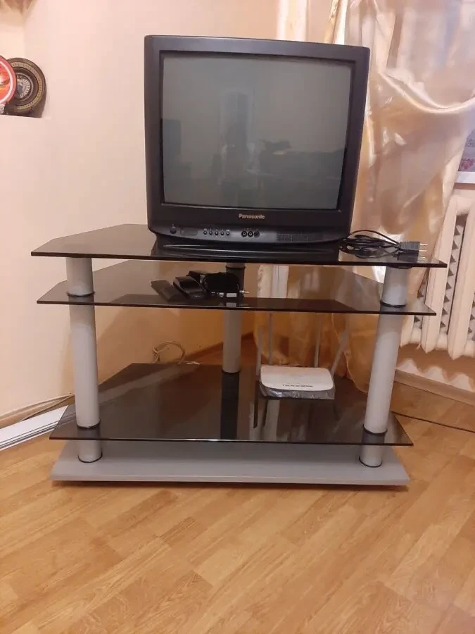 Телевизор Panasonic TX-21S1TCP 2