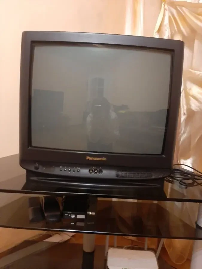Телевизор Panasonic TX-21S1TCP 5
