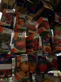 Насіння квітів, насіння овочів. Фасоване насіння. Поштучне. Імпортне