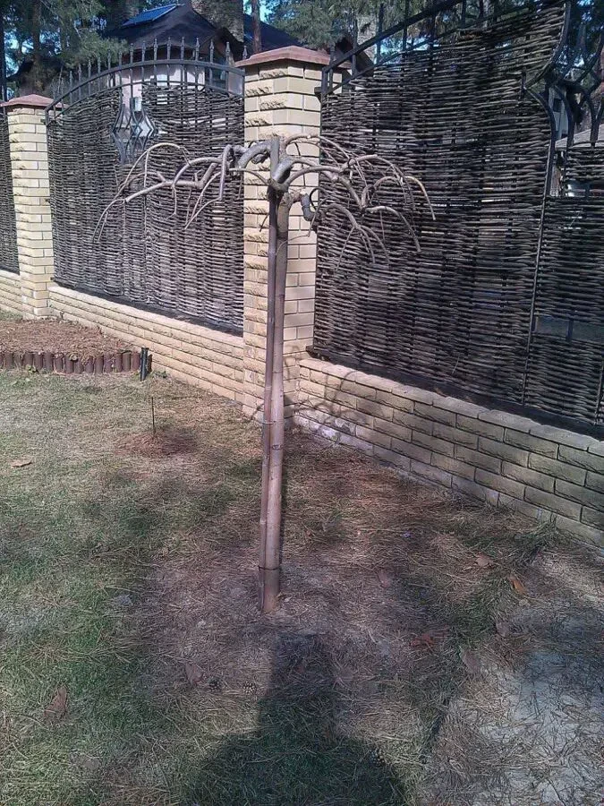 Обрезка деревьев и кустарников Каменское 9