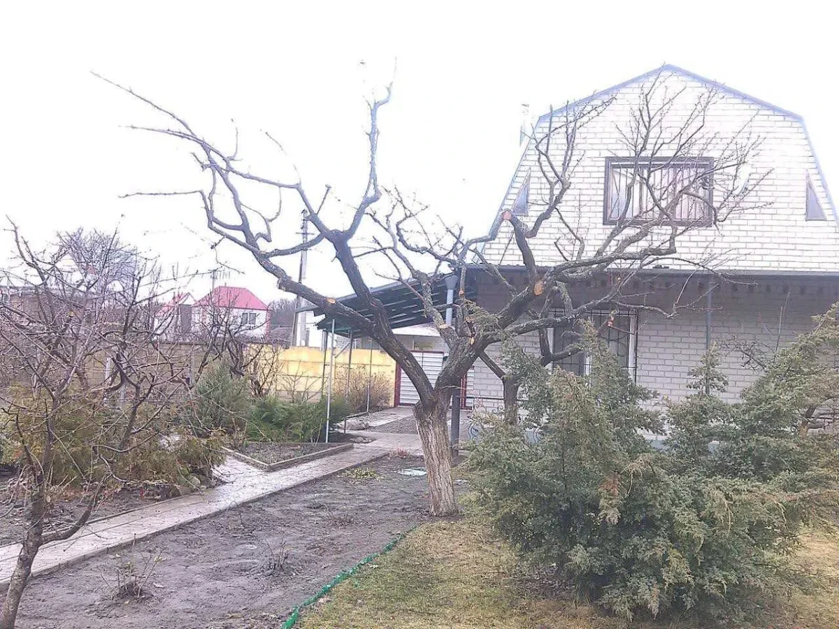 Обрезка деревьев и кустарников Каменское 8