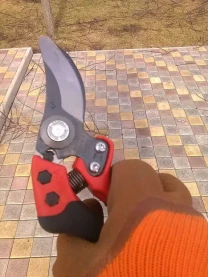 Обрезка деревьев и кустарников Каменское