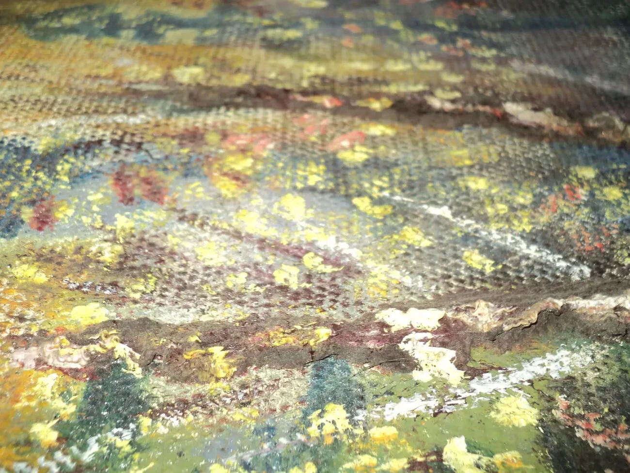 Картина маслом 8