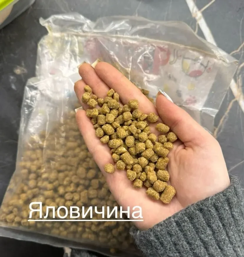 Сухий корм для котів Йошкін Кіт, 10 кг 4