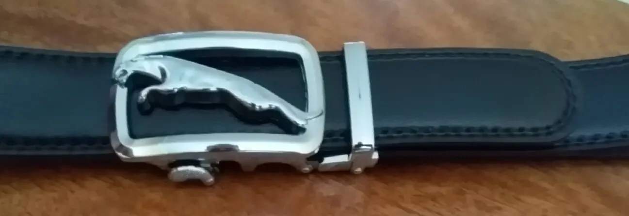 Ремень Jaguar серебристый металлик для мужчин 2