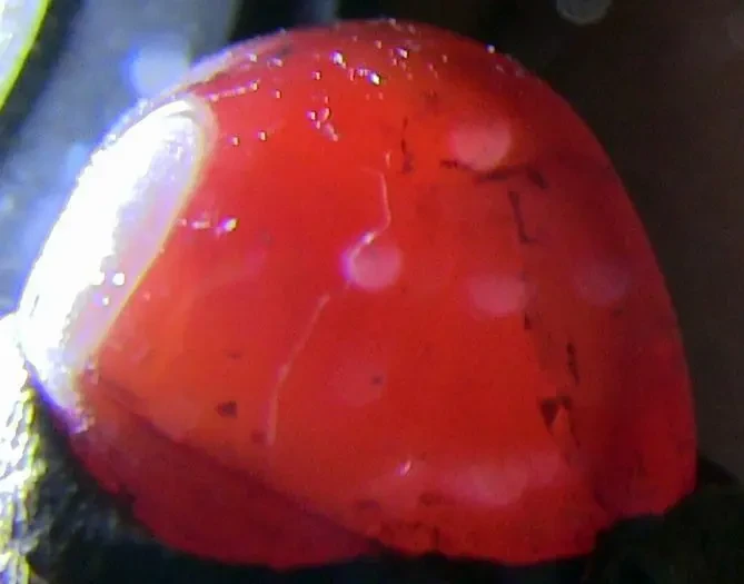 Трубка мундштук, камень Cердолик. 2