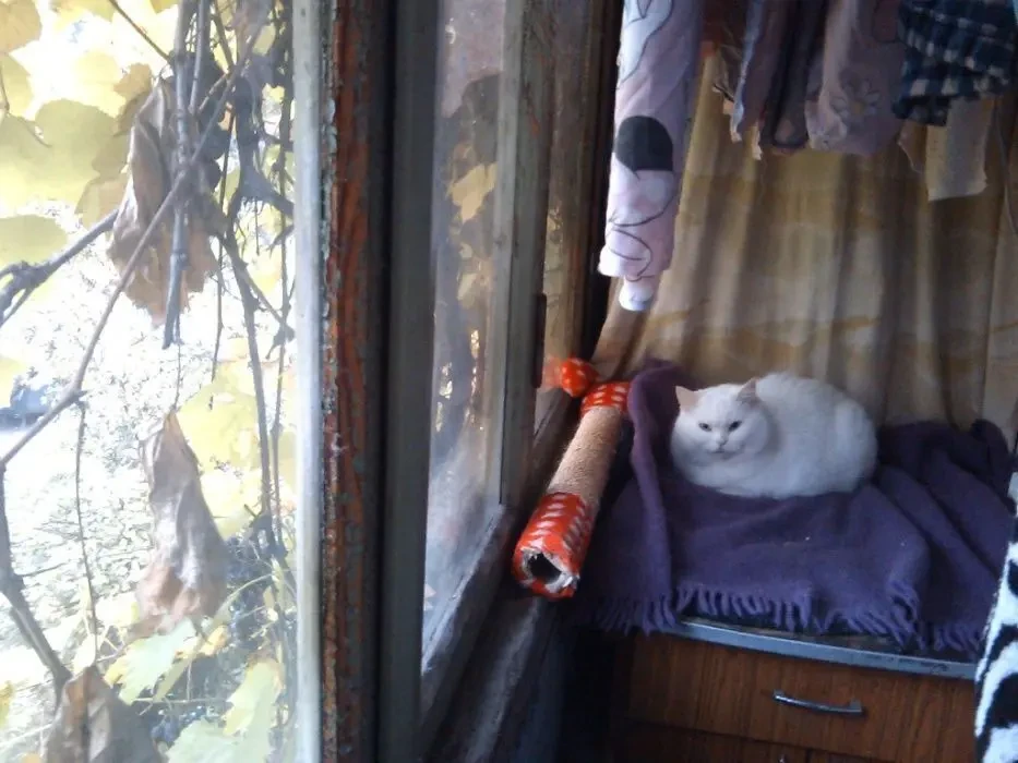 Продажа квартиры с автономным отоплением 7