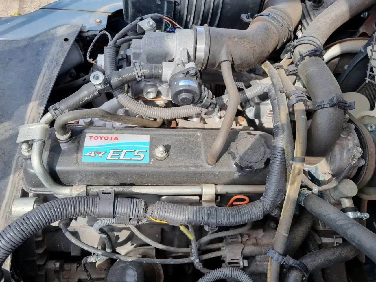 Навантажувач TOYOTA 02-8FGJF35 6