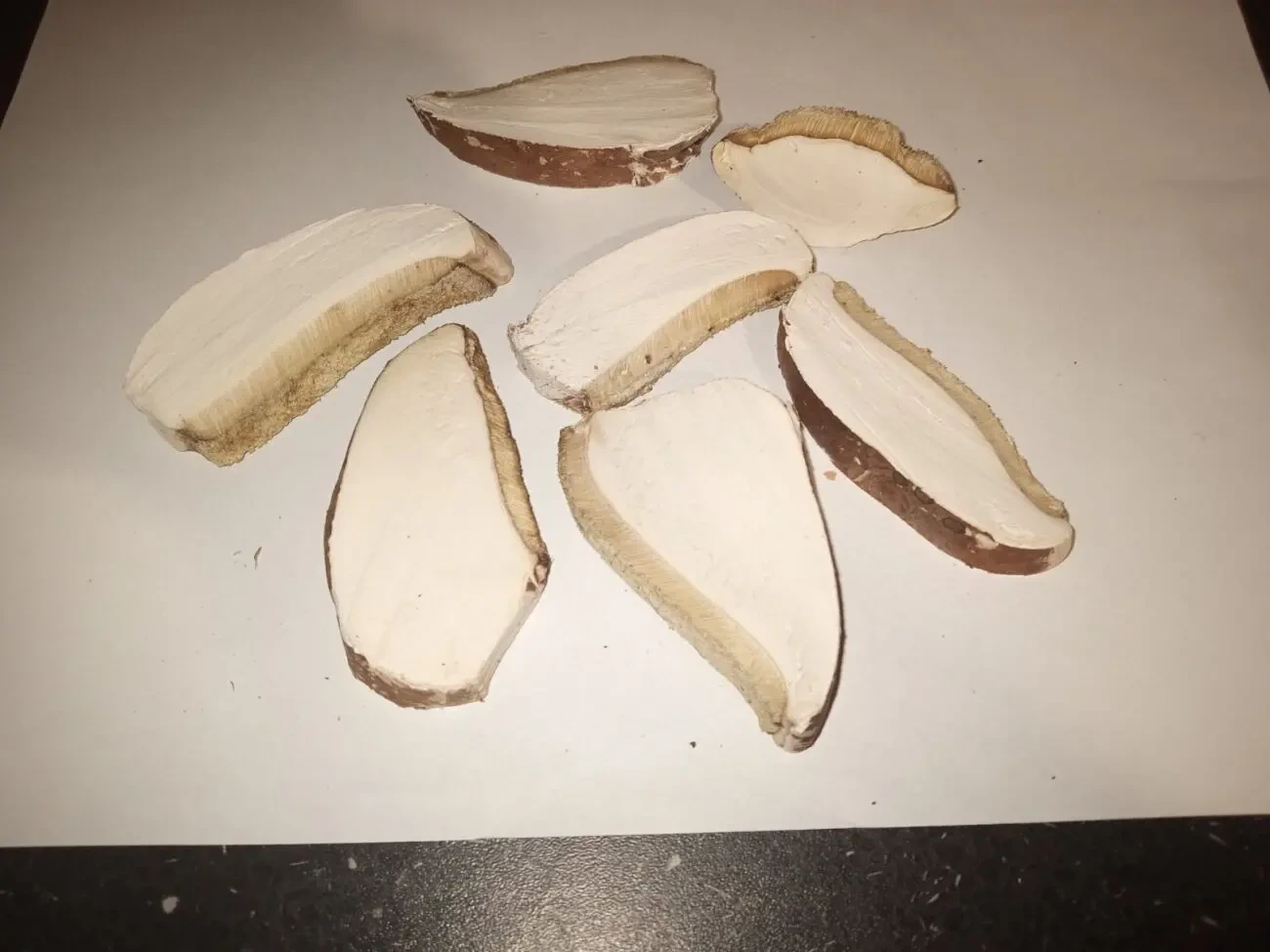 Сушені мухомори 8