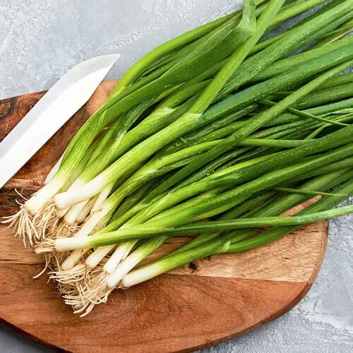 Семена лук на зелень