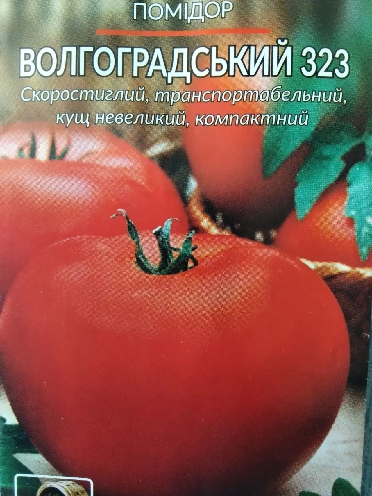 Семена томата Волгоградский 323