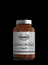 Якорцы стелющиеся